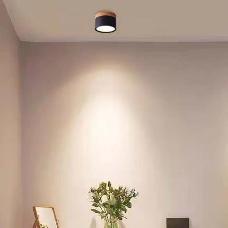 Morandi Moderne LED Plafondlamp Zwart Wit Grijs Metaal Eetkamer