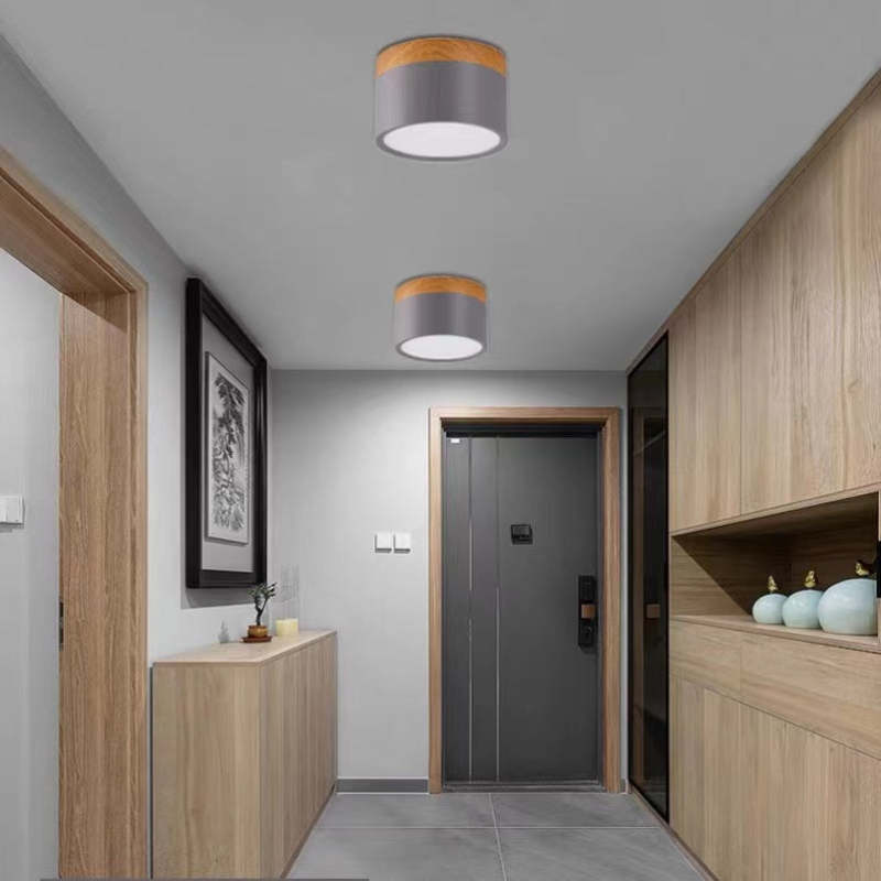 Morandi Moderne LED Plafondlamp Zwart Wit Grijs Metaal Eetkamer