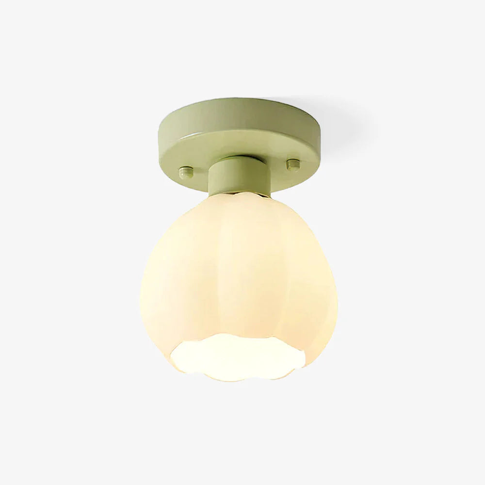 Carina Comfort Eenvoud Schattig LED Plafondlamp Metaal Glas Slaapkamer